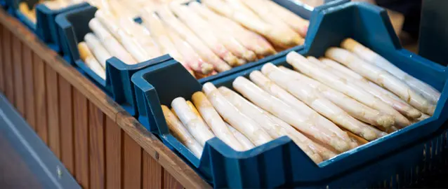Frisch gestochener Spargel in Kisten – Ernte vom Spargelhof Berderhof